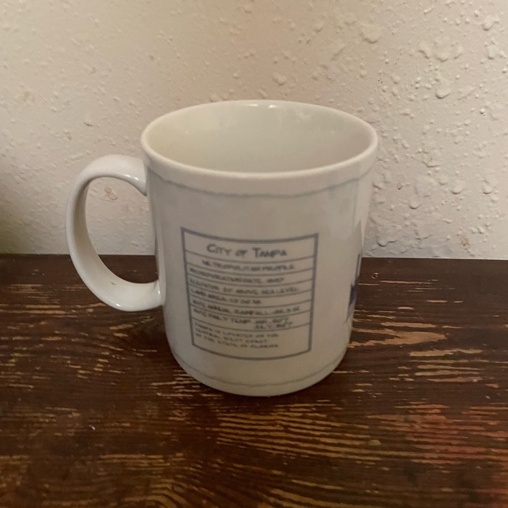 STARBUCKS TAMPA Architect Series Coffee Tea Mug 18oz BIG 2007 white Blue Buildin